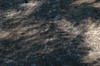 2017-08-21 Eclipse 126